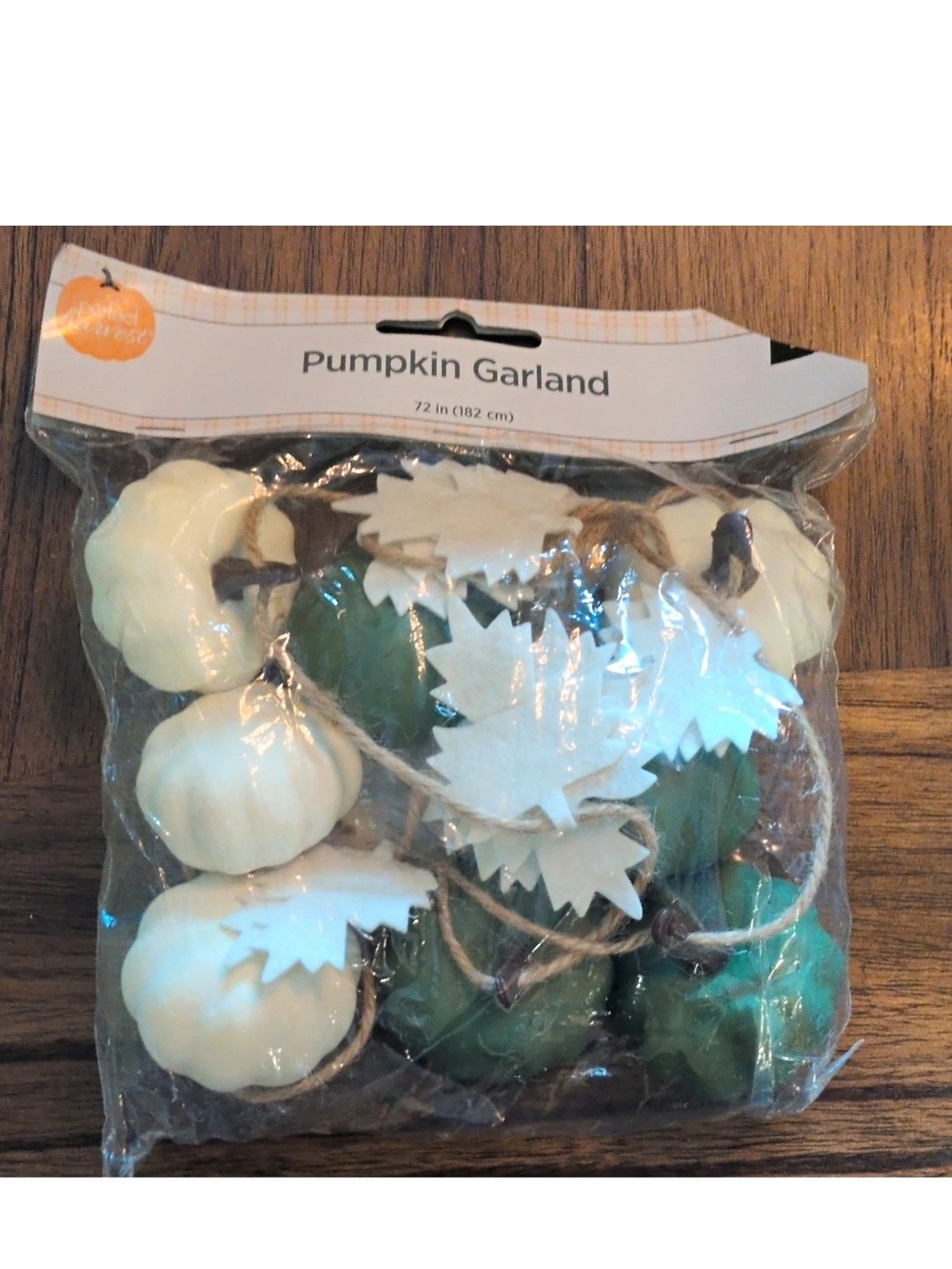 Old East Main Co. Artificial Pumpkin Garland 72 in Fall Green & White Decor